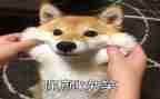 微笑面对演讲稿最新8篇