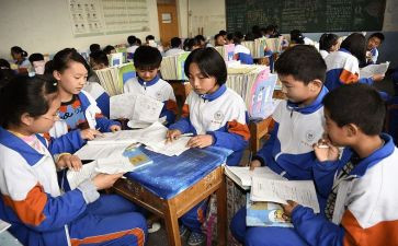 小学校本教师工作总结8篇