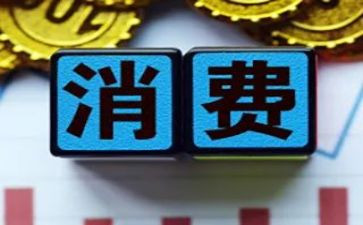 消费情况的调查报告范文7篇