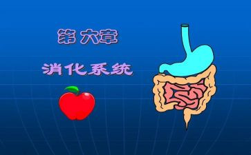 消化道内科出科自我鉴定6篇