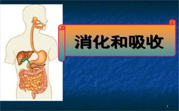 消化内科的心得体会7篇