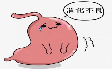 消化医生工作总结6篇