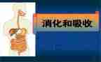 消化内科的心得体会7篇