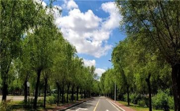 校内活动安全教案8篇