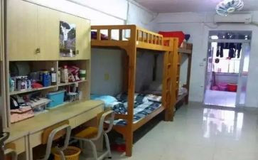 学校宿舍科工作计划8篇