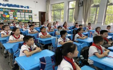 小学调查报告600字作文7篇