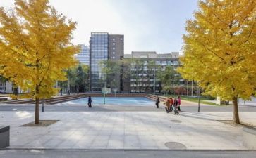 小校园安全工作计划5篇