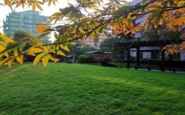 校园日活动总结模板5篇