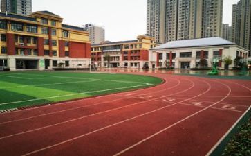 作文校园的调查报告5篇