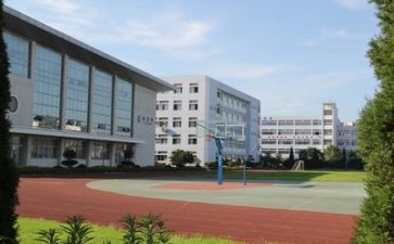 校园安全学校心得8篇