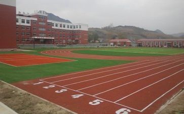 校园工作活动总结5篇