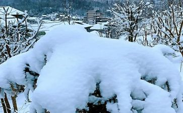 下雪天中班安全教案6篇