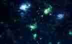 写星辰的作文优质7篇