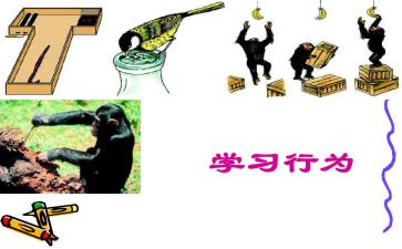 违规行为自查报告7篇