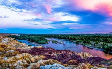 学新疆历史心得体会精选6篇