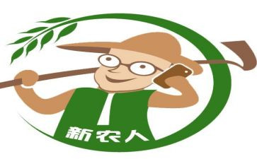 新农村建设年度工作总结8篇