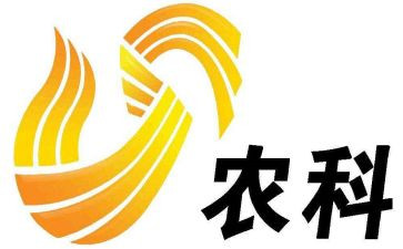 新农村治建设调查报告6篇