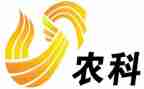 新农村治建设调查报告6篇