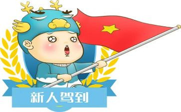新人工作总结5篇