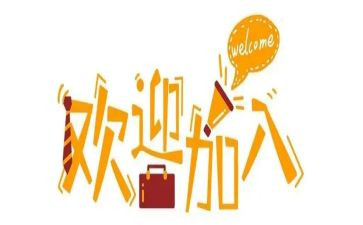 新人进保险公司的心得体会7篇