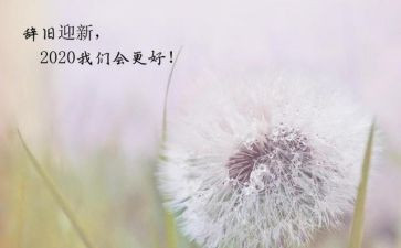 行政新一年的工作计划7篇