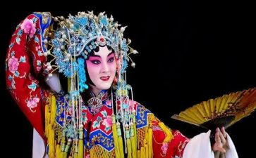 我与戏曲的作文7篇