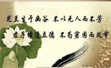 文明修身活动总结6篇