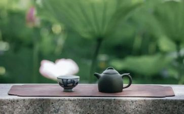 个人修养心得体会6篇