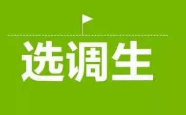 选调生2024年工作个人总结7篇