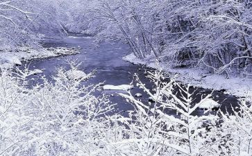 中班雪天安全教案8篇