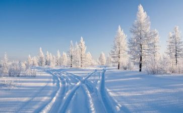 雪的科学教案推荐6篇