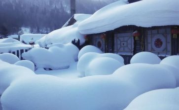 学校扫雪作文6篇