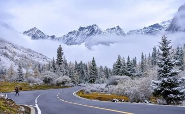 关于雪的调查报告精选7篇