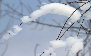 除雪个人先进事迹材料范文6篇