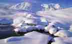 除雪调查报告参考7篇