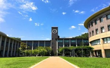 数学部述职报告6篇