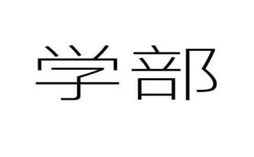 大学部门工作总结6篇