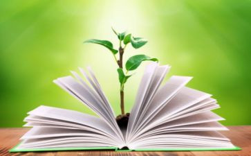 学年学工作总结最新7篇