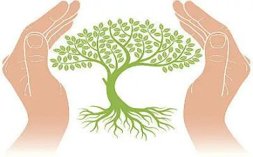 以关心主题的作文6篇