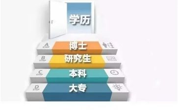 学历史的心得体会模板8篇