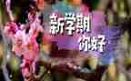 小班秋学期保育工作计划8篇