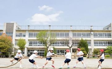 大学生教学实习报告8篇