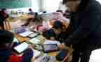 学习的年度总结8篇