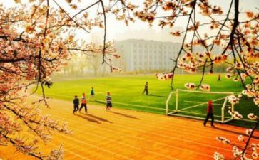 2022年学校年度工作计划5篇
