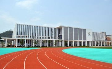 健康学校年度工作总结6篇