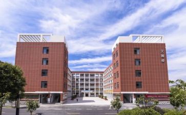 学校总结报告优秀5篇