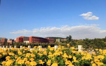 学校自我鉴定范文500字5篇