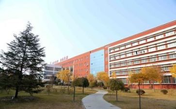 学校财务的工作计划2022精选7篇