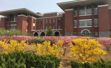 学校半年安全工作总结6篇