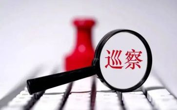 巡察干部2024年述职述廉报告5篇